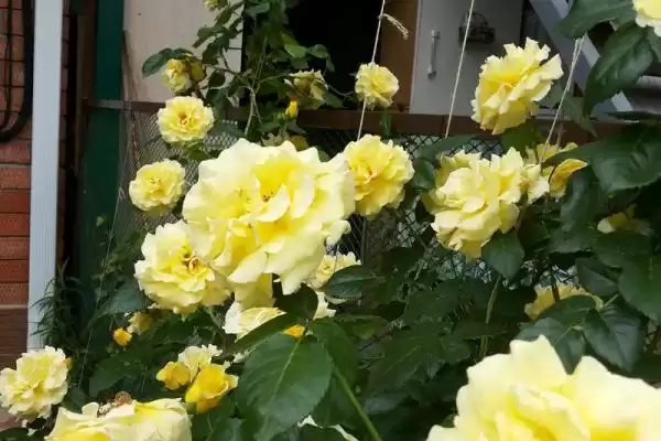 Дом под ключ, ул.Энгельса, д.96 Дом под ключ, ул.Энгельса, д.96