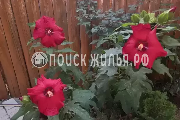 Частный сектор «Коттеджи у моря Эльф»
