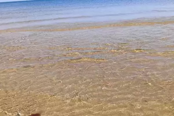 Дом под ключ «Дача у моря» Дом под ключ «Дача у моря»