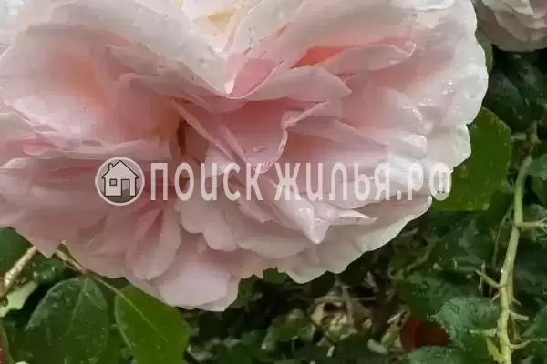 Квартира «На куйбышева» Квартира «На куйбышева»