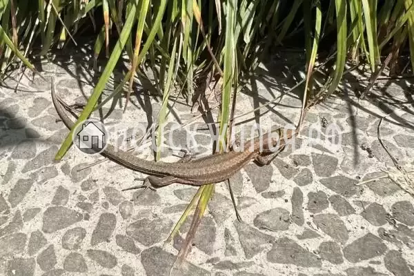 Квартира «На куйбышева» Квартира «На куйбышева»