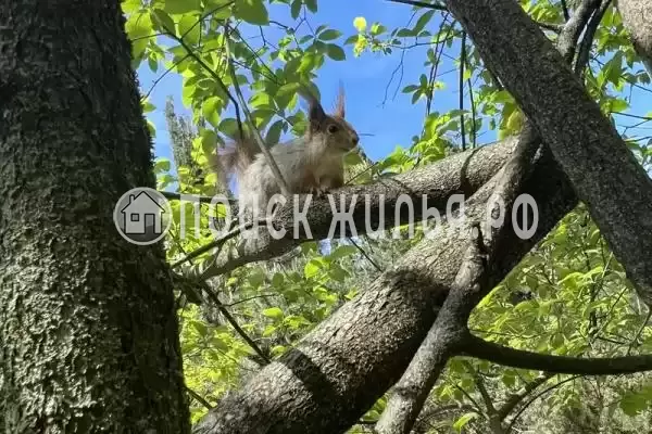 Квартира «На куйбышева» Квартира «На куйбышева»