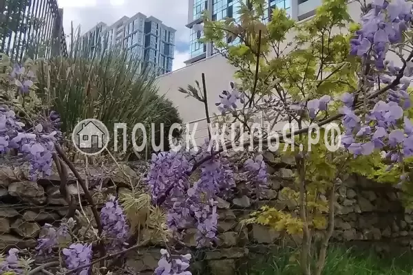 Квартира «В ЖК Сочи парк» Квартира «В ЖК Сочи парк»