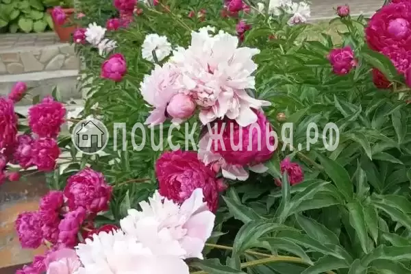 Дом под ключ «Фортуна» Дом под ключ «Фортуна»