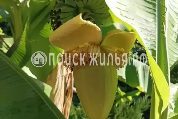 Дом под ключ «Фортуна» Дом под ключ «Фортуна»