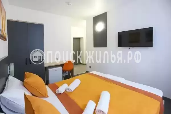 «Амитель» «Амитель»