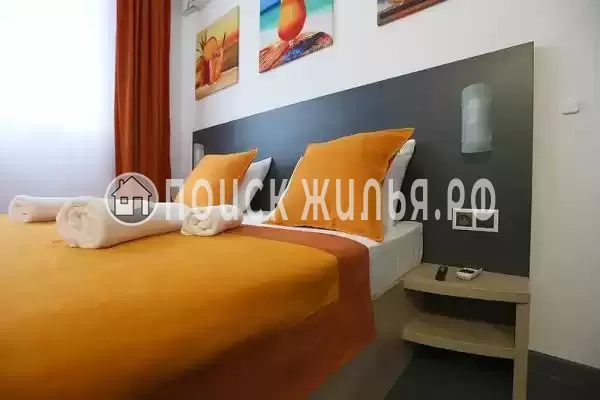 «Амитель» «Амитель»