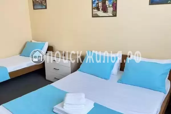 «Амитель» «Амитель»