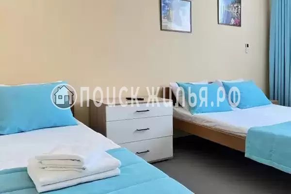 «Амитель» «Амитель»