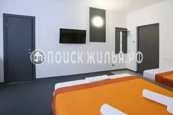 «Амитель» «Амитель»