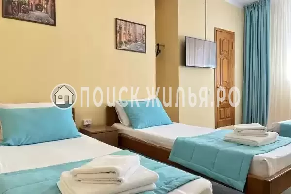 «Амитель» «Амитель»