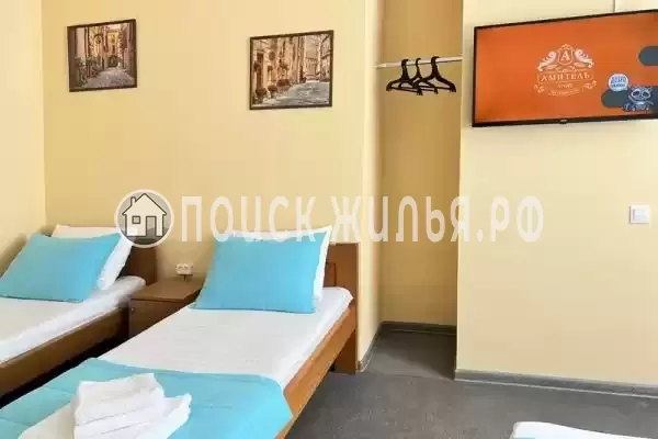 «Амитель» «Амитель»