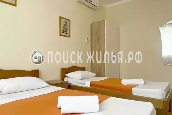 «Амитель» «Амитель»