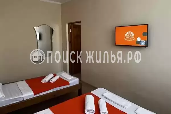 «Амитель» «Амитель»