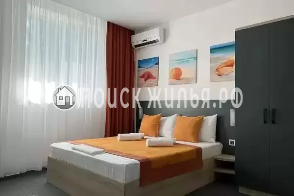 «Амитель» «Амитель»