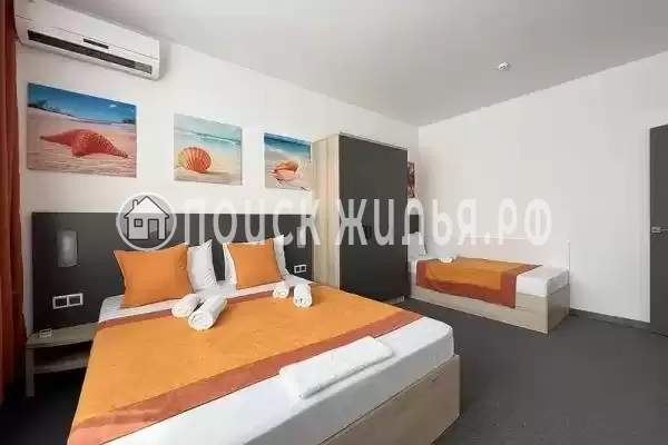 «Амитель» «Амитель»