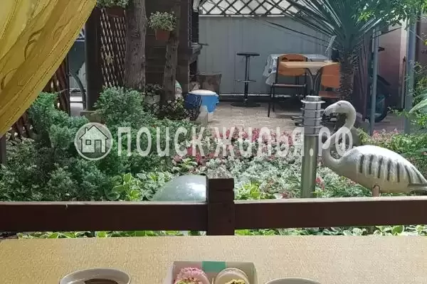 «Алина» «Алина»