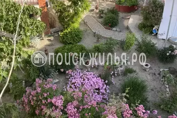 «Бумеранг» «Бумеранг»