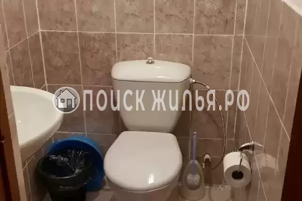 «Весёлый рапан» «Весёлый рапан»