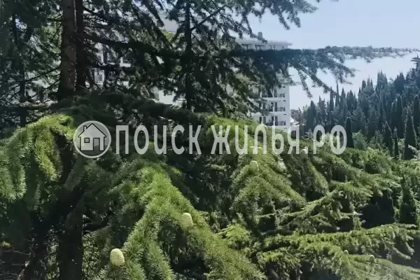 Апартаменты «Alushta Royal» Апартаменты «Alushta Royal»