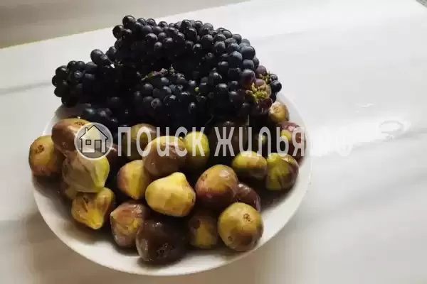 Апартаменты «Alushta Royal» Апартаменты «Alushta Royal»