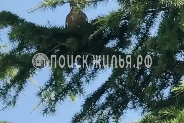 Апартаменты «Alushta Royal» Апартаменты «Alushta Royal»