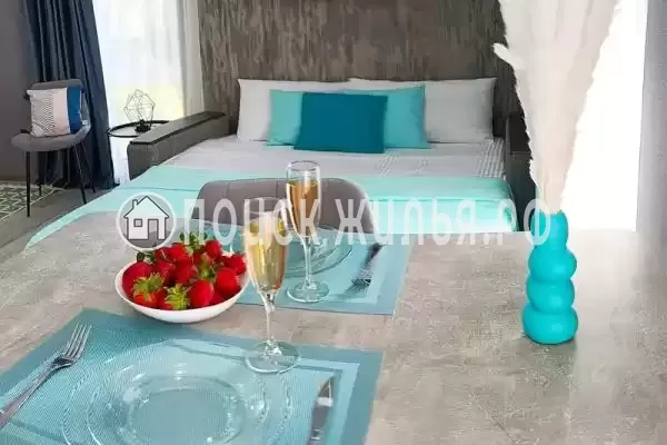 Апартаменты «Студия с балконом» Апартаменты «Студия с балконом»