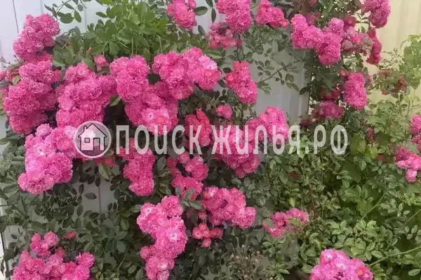 Частный сектор «Под ключ»