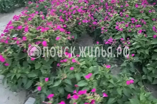 Частный сектор «Под ключ»