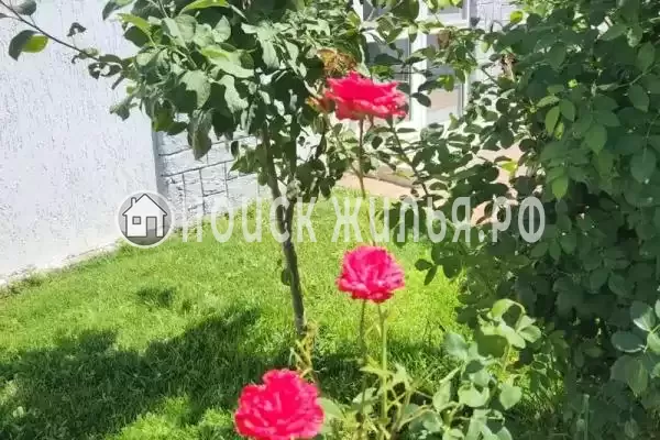 Апартаменты «ZaChill» Апартаменты «ZaChill»