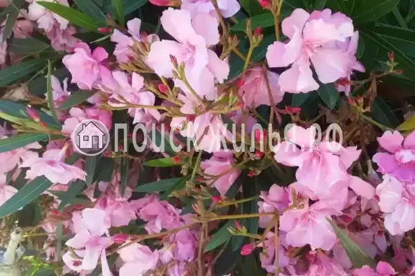 Дом под ключ «Вишня»