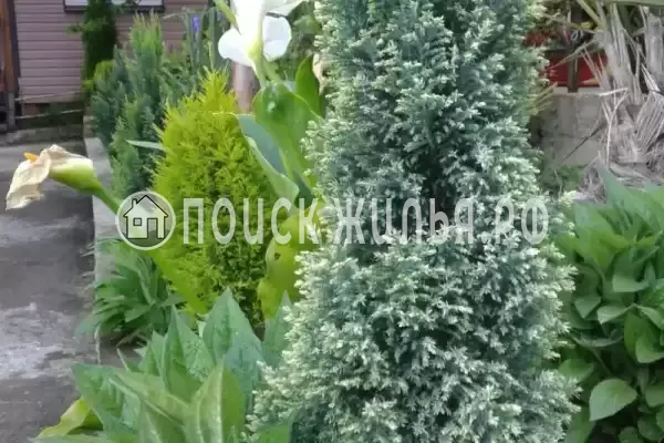 Дом под ключ «Вишня»