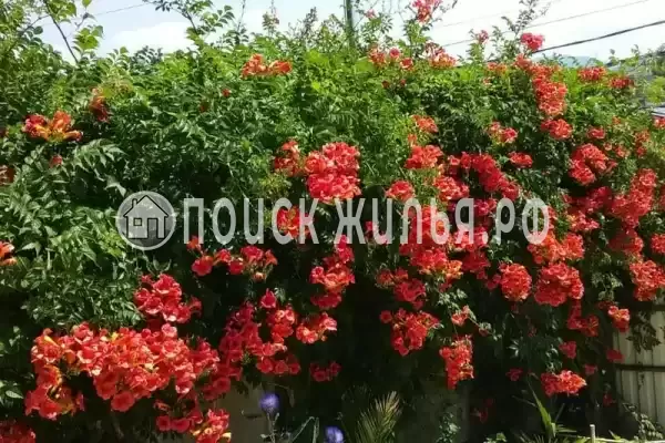 Дом под ключ «Вишня»