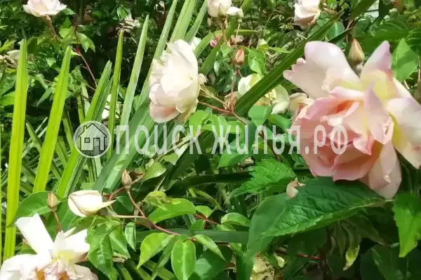 Дом под ключ «Вишня»