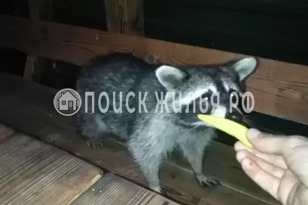 Дом под ключ «Вишня»