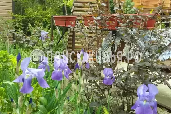 Дом под ключ «Вишня»