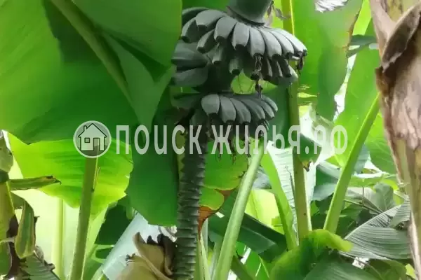 Дом под ключ «Вишня»