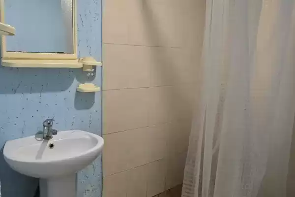 Гостевой дом «В тени киви» Гостевой дом «В тени киви»