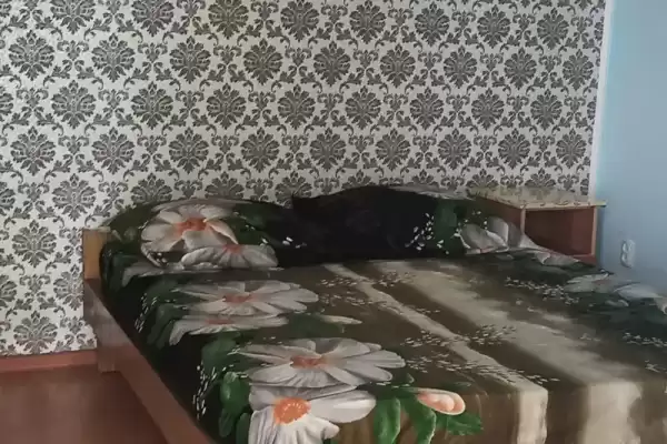 Гостевой дом «В тени киви» Гостевой дом «В тени киви»