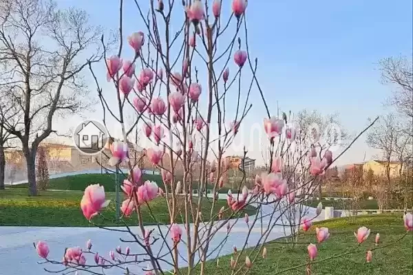 Дом под ключ «Уютный домик» Дом под ключ «Уютный домик»