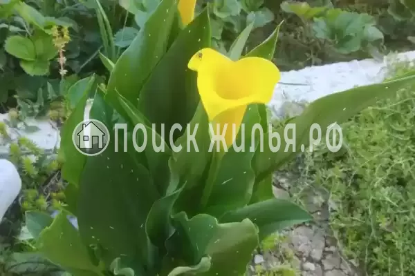 Дом под ключ, пер. Огородный, д.11/117 Дом под ключ, пер. Огородный, д.11/117