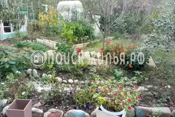 Частный сектор «Домик У Лилии» Частный сектор «Домик У Лилии»