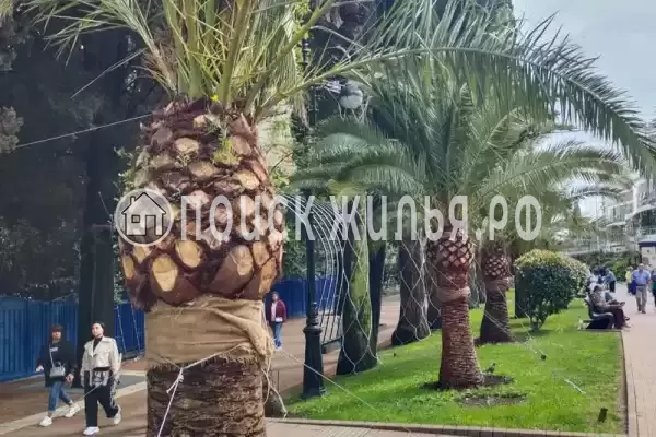 Частный сектор «Домик У Лилии» Частный сектор «Домик У Лилии»