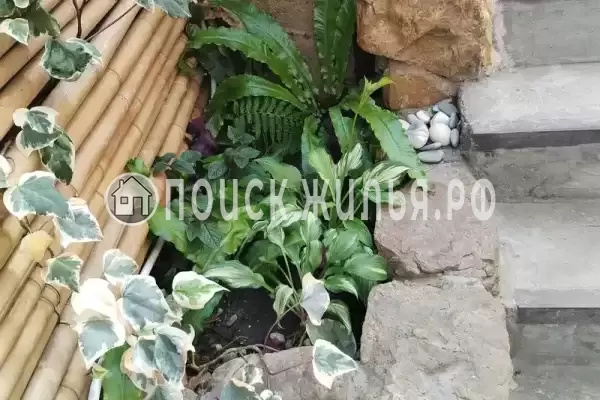 Квартира «3х комнатная»