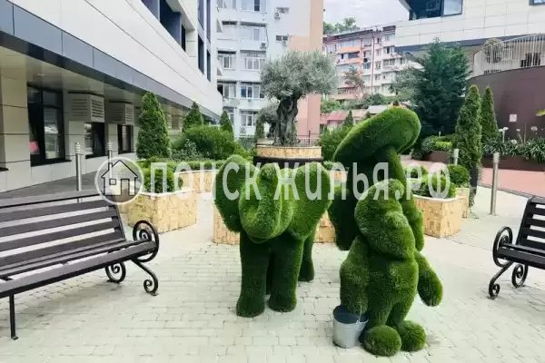 Квартира «Студия в ЖК Сокол»