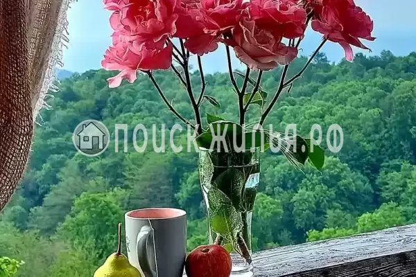 Частный сектор «Апартамент в замке» Частный сектор «Апартамент в замке»