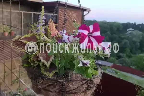 Частный сектор «Апартамент в замке» Частный сектор «Апартамент в замке»