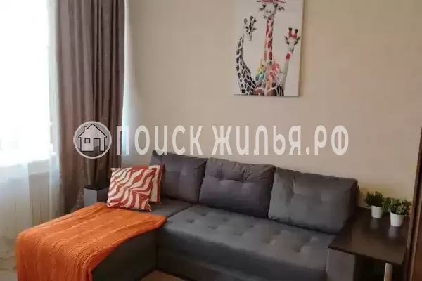 Квартира «На Известинском»