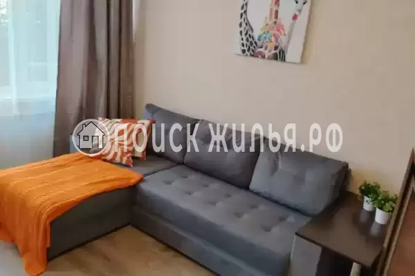 Квартира «На Известинском»