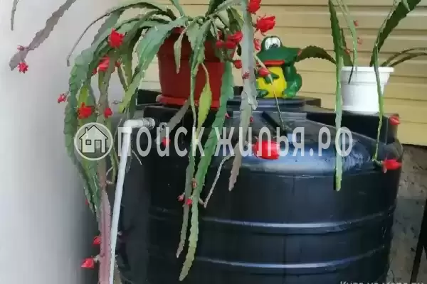 Апартаменты «Уютный уголок» Апартаменты «Уютный уголок»